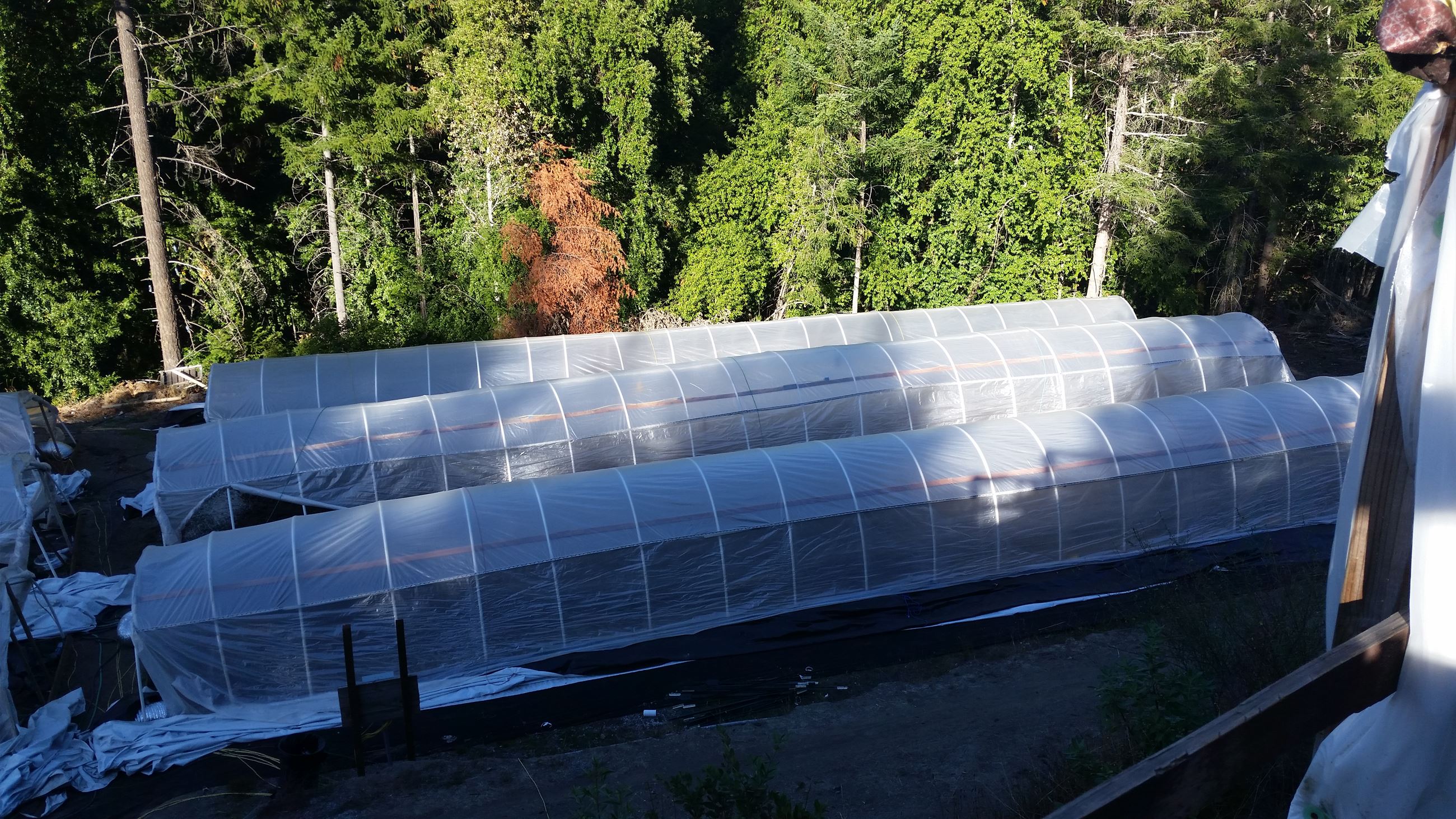 201504600 greenhouses